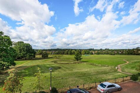 View (Pre-Drought!)