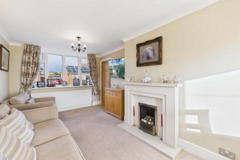 CAM03162G0-PR0369-STILL021