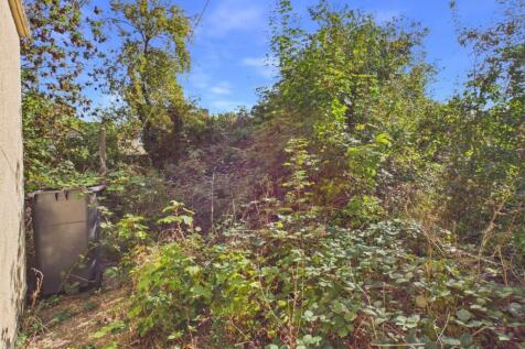 Overgrown Garden