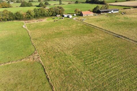 Pine Meadows Walesby 101024 (15).JPG