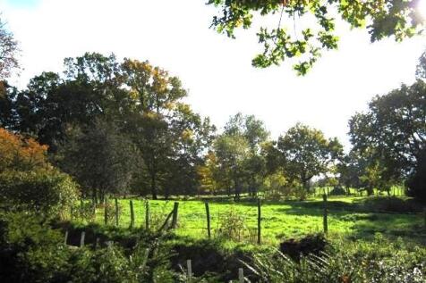 Woodgate New (6).jpg