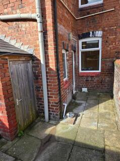 Back yard..jpg