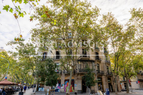 Estupendo-y-tranquilo-piso-con-volta-catalana-e...