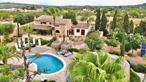 Finca in perfect location