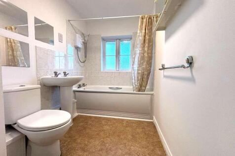 Picture 8