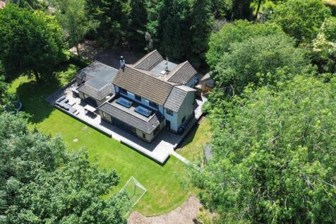 DJI_0979.jpg