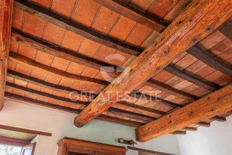 Panorama e Particolari