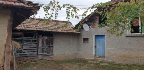 Corner of a rural house with blue door and adjacent wooden outbuilding under tiled roofs with grapevine overhead