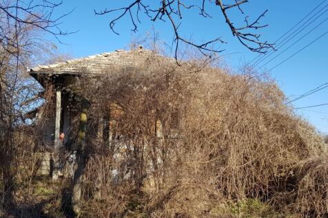Side perspective of an old house almost hidden by dense dry vines and leafless branches