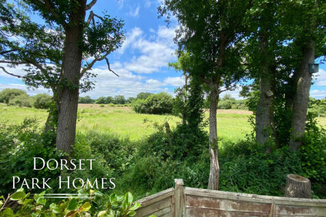 Meadow View