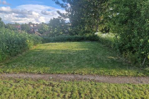 Back Garden Allotment.jpg