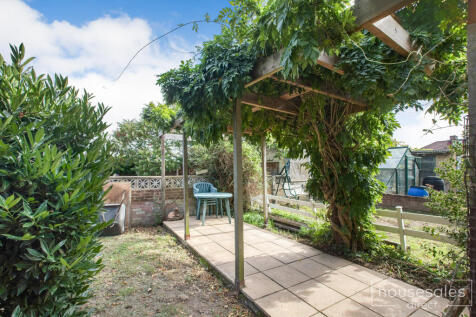Garden 6