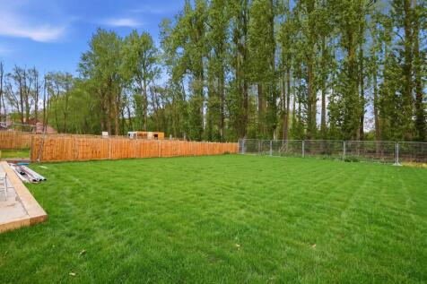 back garden
