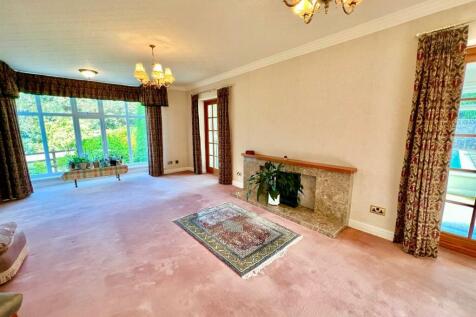 PHOTO-2024-07-16-21-54-14 (9).jpg