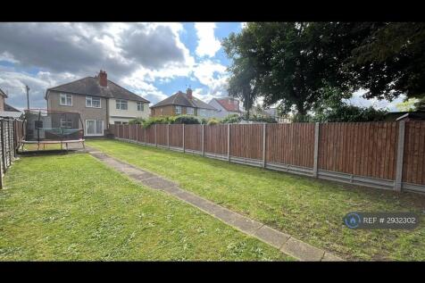 Back Garden