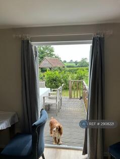 Outlook From Kitchen