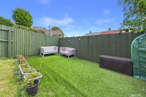 artifical lawn to th