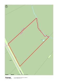 Promap Site Plan.jpg