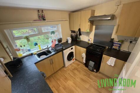 Coburn Street, Cathays, Cardiff photo 3