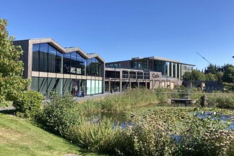 The Hive cafe and gym