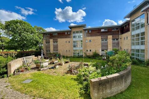 Communal Garden
