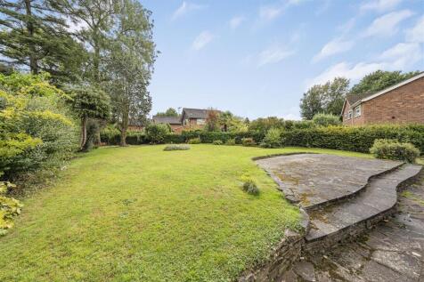 Photo Sep 10 2025, 11 39 01 AM.jpg