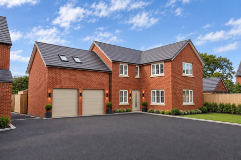 AI Front Image.png