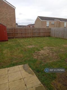 Garden_1