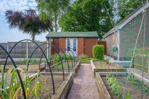 Veg Garden 