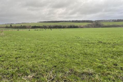 Photo 09-12-2024, 14 32 04.jpg