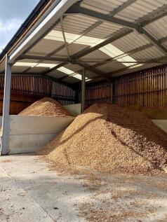 Biomass.jpg