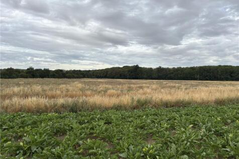 Land for sale Image 7