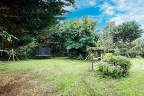 Garden 1.jpg