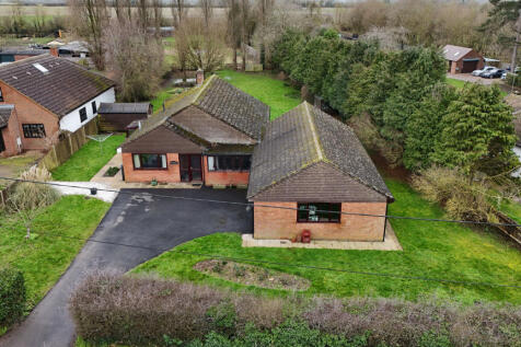DJI_20260220120206_0294_D.JPG