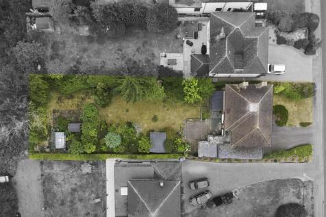 DJI_0803.jpg
