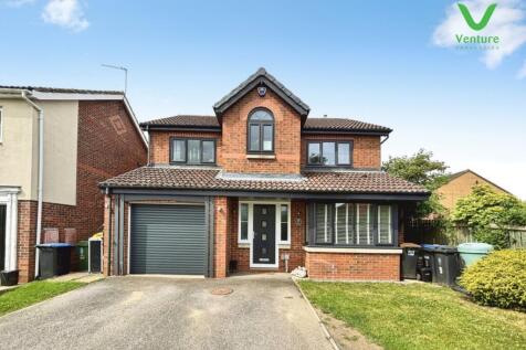 pbox-IMG.jpeg