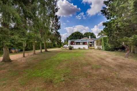 Morning sun (42).jpg