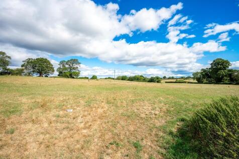 Field- Lot 2