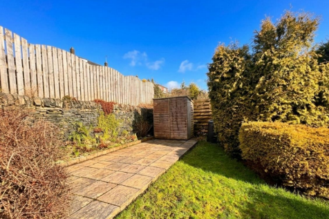 back garden.png
