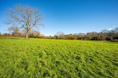 Grounds