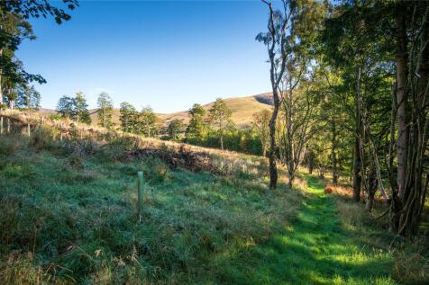 Woodland &amp; Grounds