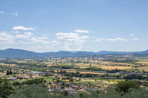 Panorama e Particolari
