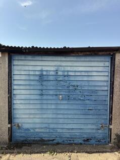 IMG_7308.jpeg