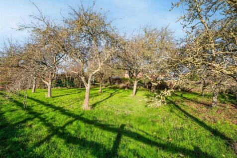 The Homestead-26.jpg