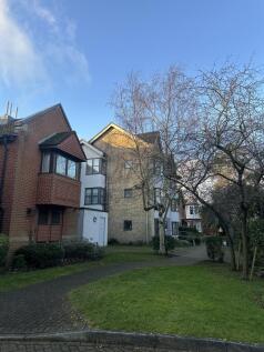 IMG_0557.jpeg