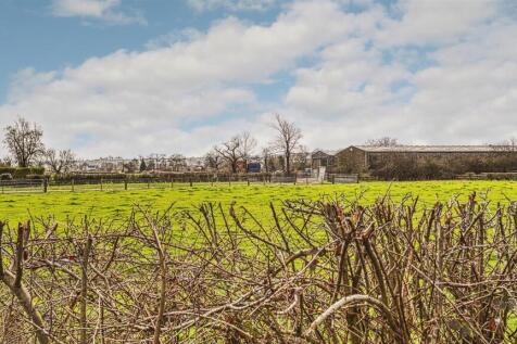 2026-03-11 13.43.49-1_HDR.jpg