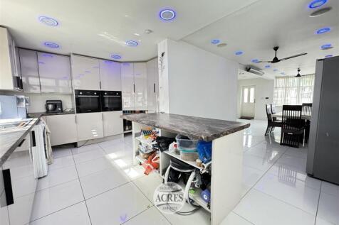 IMG_1556 (Large).jpg