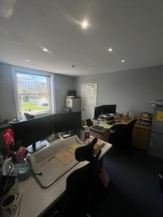 IMG_1846.jpeg