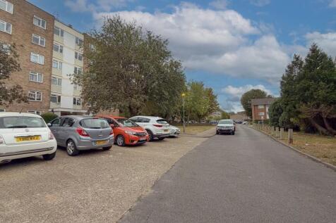 Not Specified
