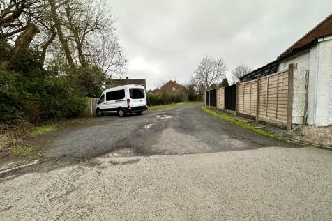 IMG 4739 T202602031108.jpeg